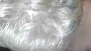 White mature sucks bbc