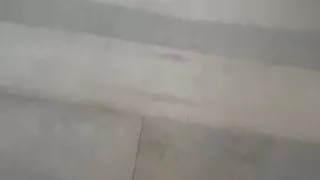 Amateur, Familia, Travesti, Lencería, Shemale, Solo