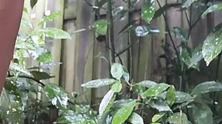 Hot bitch masturbates in gardens