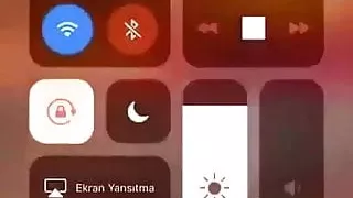 Ece Ronay Taylan turkish tiktok