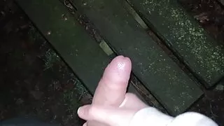 Nächtliches Sperma auf der Parkbank