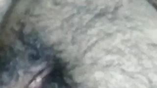 Video call with Busty Indian married girl