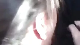 Blowjob