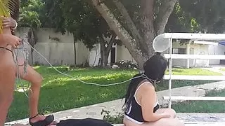 facesitting while ballbusting