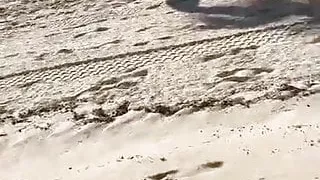 VP06 - Olinda Castaneda 1iuy