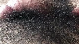 Haariger Schwanz wacht auf