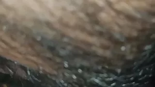 Sperma, Geji, Telovadnica