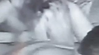 sucking cock in the middle of the night