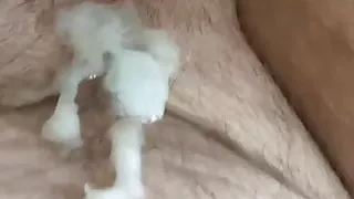 A nice big load from my friend