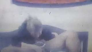 Glamourboi Devon Getz Brain From April Applebottom702