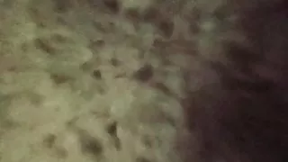 Wife squirts all over vanillapiper