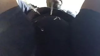 Drying the dog and couldn't hold it