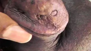 High heel cock crush