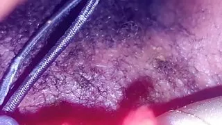 Need  To Shave My Kitty