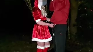 Xmas 3 - d