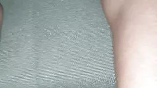 Dressage de chienne partie 1