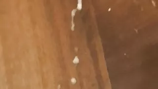 Huge Cumload sprayed on wall