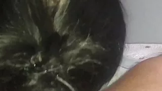 My wife sucking my cock...