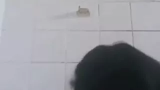 Shy Cape town coloured