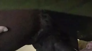Sucking thick black cock