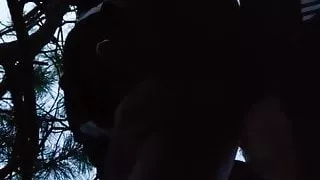 A good fuck in the forest