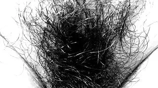 Lecherous Reflections in Monochrome 3185