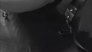 Licking and Cleaning