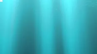 Phil Fishing Gear Porno Queen