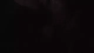 Homemade POV Video – wife sucking dick