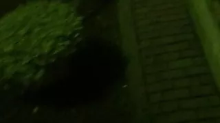 Bottomless at gazebo part