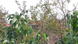 Risky Public Anal - ZOOM ANAL