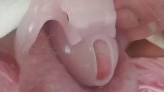 Kleiner rosa Noppen-Keuschheits-Käfig