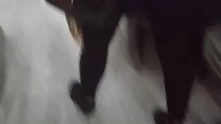 Egyptian girl with ass