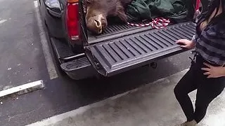 Busty pawnshop babes blowing public store owner