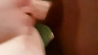 Eating my wife's pussy