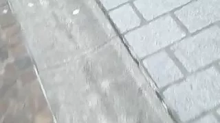 Found on the street and liked the photos.