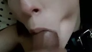 Leashed bitch sucks until ejaculation