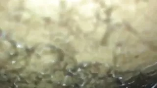 Fucking a thick milf until she squirts