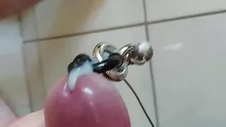 Prinz Albert mit ein paar zusätzlichen Ringen