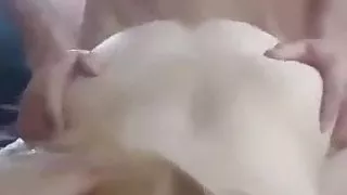 sarisin yavruyu araya almislar biri agzina veriyor biri siki