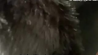 Egyptian Sarmota on the Hotel room - NiK ARAB - Motargam