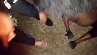 Une black suce une grosse bite dehors