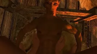 Skyrim LE: Being a Hoe