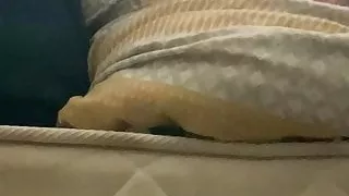 fast fucking irish girlfriend 