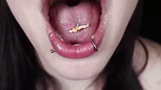 the cupcake encounter - high definition  trailer