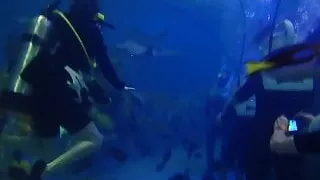 Homemade Blow job and deepthroat