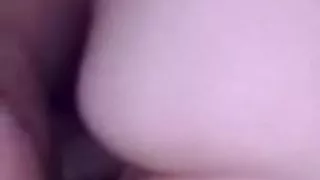 Albanees Chk vivi and bbc