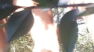 Amatør, Anal, Blowjob, Par, Gay, Italiesnk