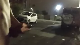 Extreme exhibitionism