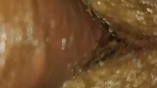 Queen Colleen and The Johnny Cat